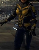 Ant-Man and the Wasp: Quantumania Evangeline Lilly Costume 