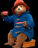 Toggle Duffle Paddington Bear Blue Wool Coat