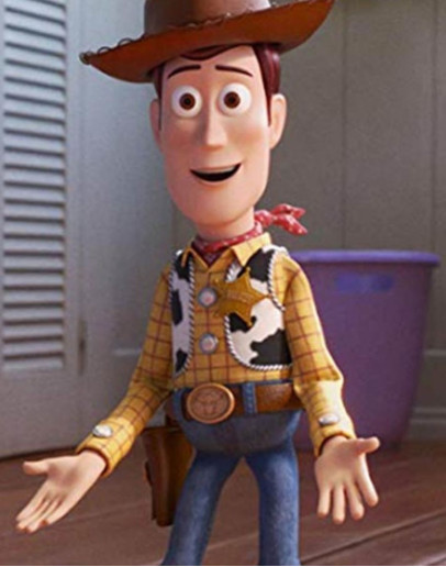 Toy Story Tom Hanks (Woody) Vest