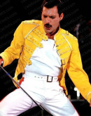 Freddie Mercury Costume Leather Jacket